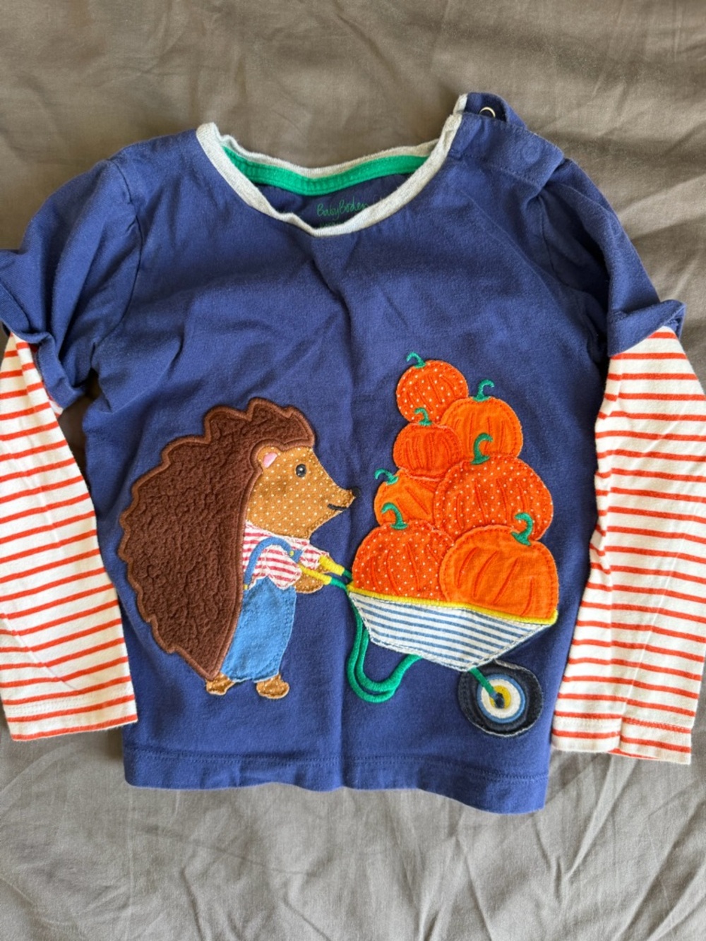 Mini Boden Navy Long-Sleeve Tee with Hedgehog and Orange Pumpkins